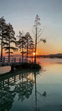 ����ľ���ճ���Ȼ���