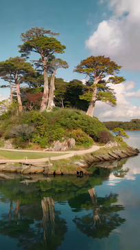 ������ľ��Ȼ���