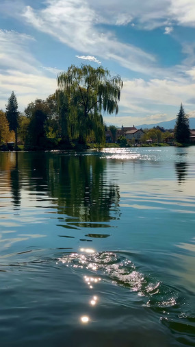 ������Ȼ���