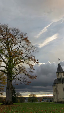 �����Դ�����������վ���