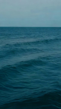 ��ɫ�����˾���