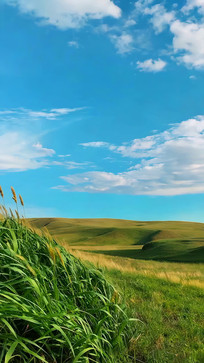 ��������µĲ�ԭ���