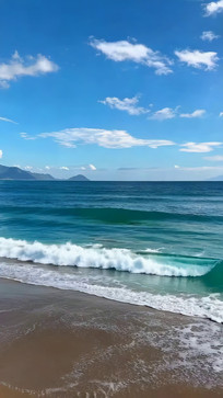 ��������µĺ�̲����