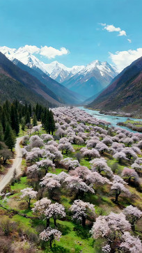 ��֥ѩɽ�µ��һ����