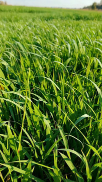 ũҵ��ɫ����