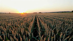 ��������ȫ��