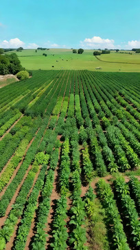 ũ�������ɫũ���ﾰ��