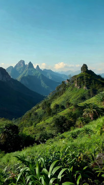 ��ɽ�����Ȼ���