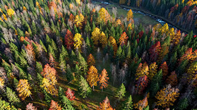 �＾ɭ�����ȫ��