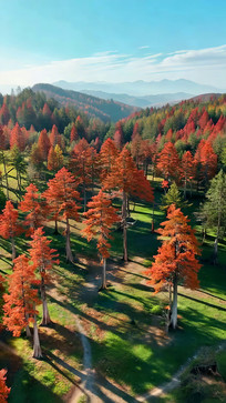 �＾ɽ�����ȫ��