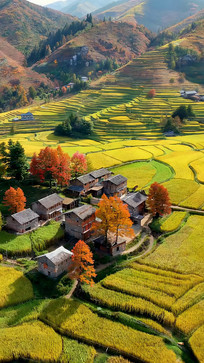 �������������԰���