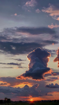 ����ʱ�������׳���ƶ�