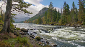 ɭ�ֺ�����Ȼ���