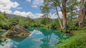 ɭ�ֺ�����Ȼ���ȫ��