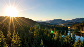 ɭ�ֺ����ճ���Ȼ���