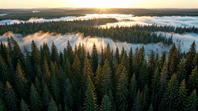 ɭ���ճ��ƺ������ز�