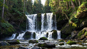 ɭ���е��ٲ���Ȼ����