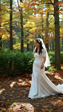 ɭ��������������