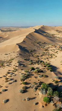 ɳĮɳ���ȫ��