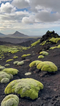 ɽ��̦޺��Ȼ���