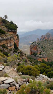 ɽ����ʯɭ����Ȼ���