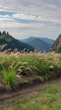 ɽ��ݵ�ɽ����Ȼ�羰