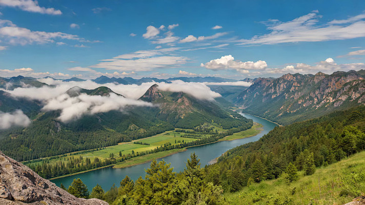 ɽ�����ɭ��ȫ�����