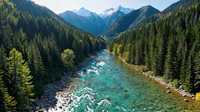 ɽ�����ɭ��ѩɽȫ��