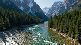 ɽ�����ɭ����Ȼ���