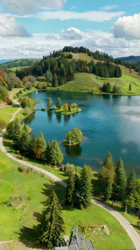 ɽ�����ɭ�ָ�羰