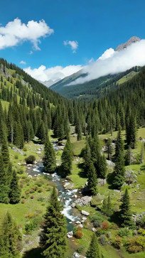 ɽ��ɭ��Ϫ����Ȼ���