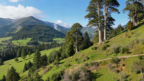 ɽ��������Ȼ���ȫ��