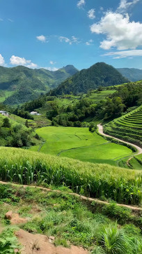 ɽ�����ﵾ����Ȼ���