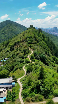 ɽ������С·�����Զ��