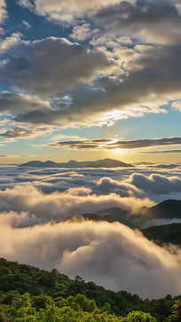 ɽ���ƺ��ճ�����