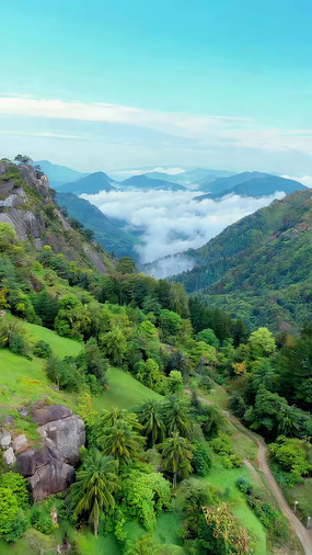 ɽ���ƺ���Ȼ���ȫ��