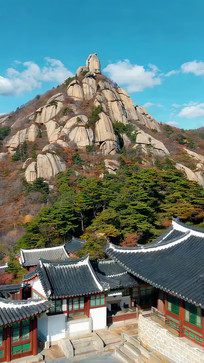 ɽ���봫ͳ����ȫ��