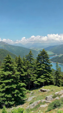 ɽ�ֺ�����Ȼ���