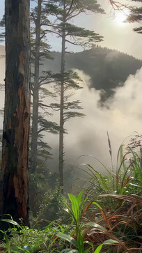 ɽ�ּ�����������Ȼ����