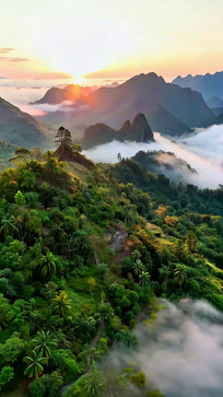 ɽ���ճ��ƺ�ȫ��