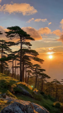 ɽ��������Ȼ���