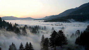 ɽ���ƺ��ճ�ȫ��