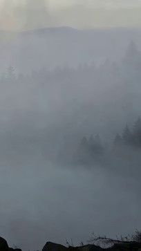 ɽ���ƺ���Ȼ����