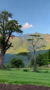 ɽҰ�������ݵ���Ȼ���