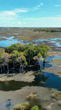 ʪ��ɭ�����ȫ��