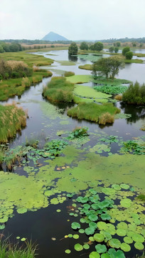 ʪ����Ȼ���ȫ��