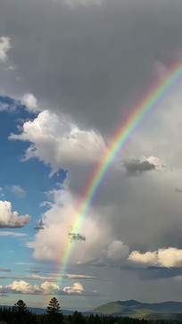 ����вʺ��������Ȼ����