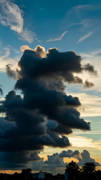 �������̬������ƶ�