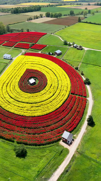 ��Ұ��ɫ���ﺽ��ȫ��