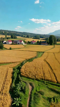 ��Ұ��ׯȫ��